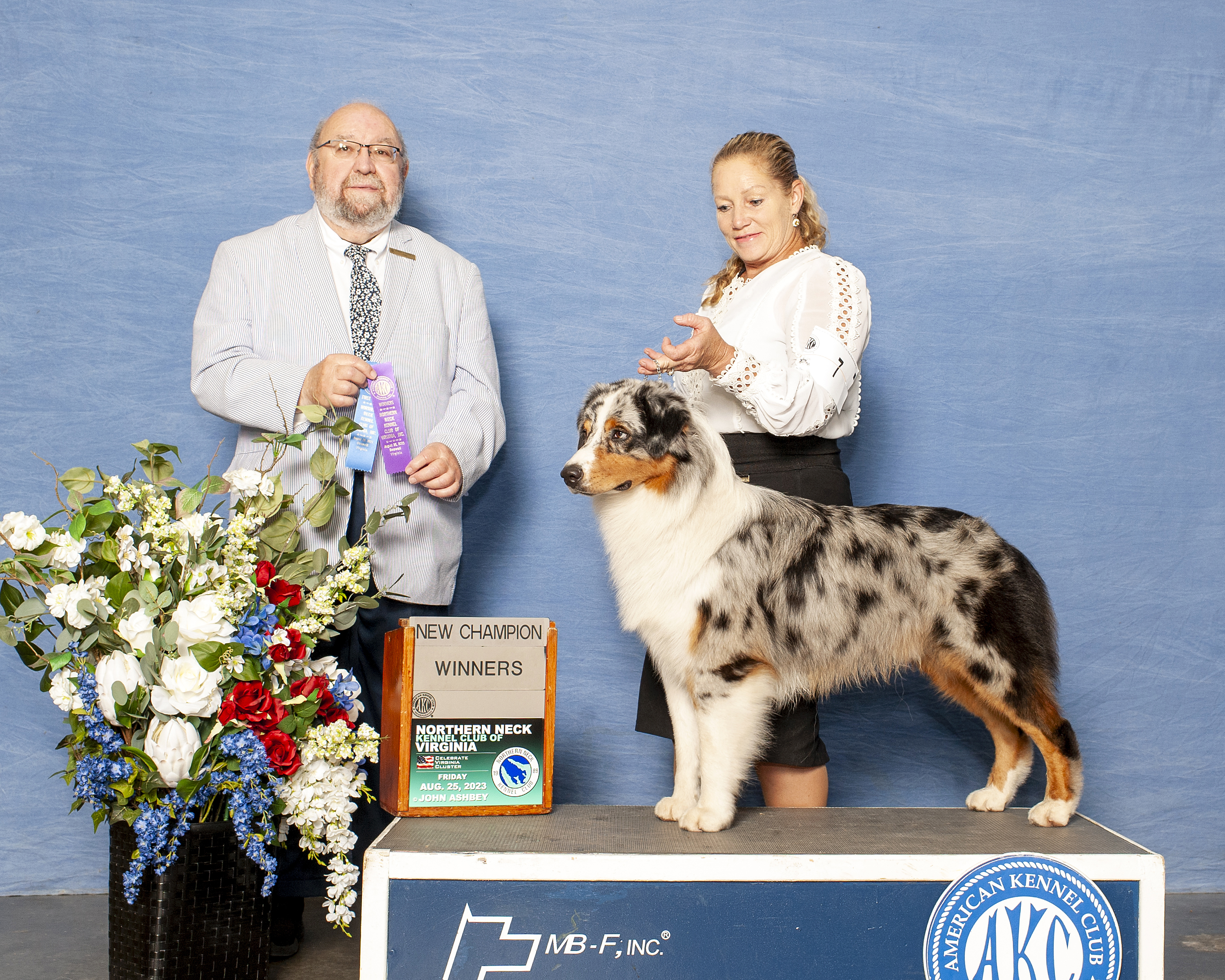Dog show winner photo with a man and woman posing with a tri-color Australian Shepherd on a blue backdrop, holding a purple ribbon and award plaque.